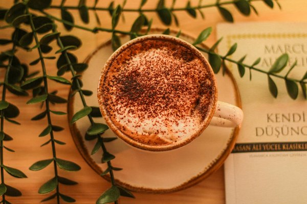 Flexitarisme mondial : Une étude comparative novatrice sur ses impacts et tendances